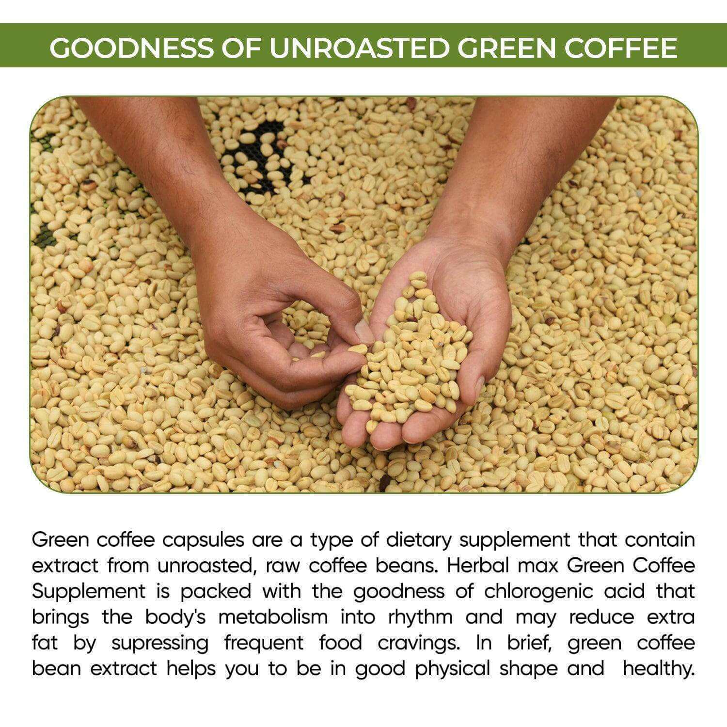 Green Coffee Beans for Weight Loss Management