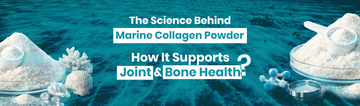 The Science Behind Marine Collagen Powder How It Supports Joint and Bone Health