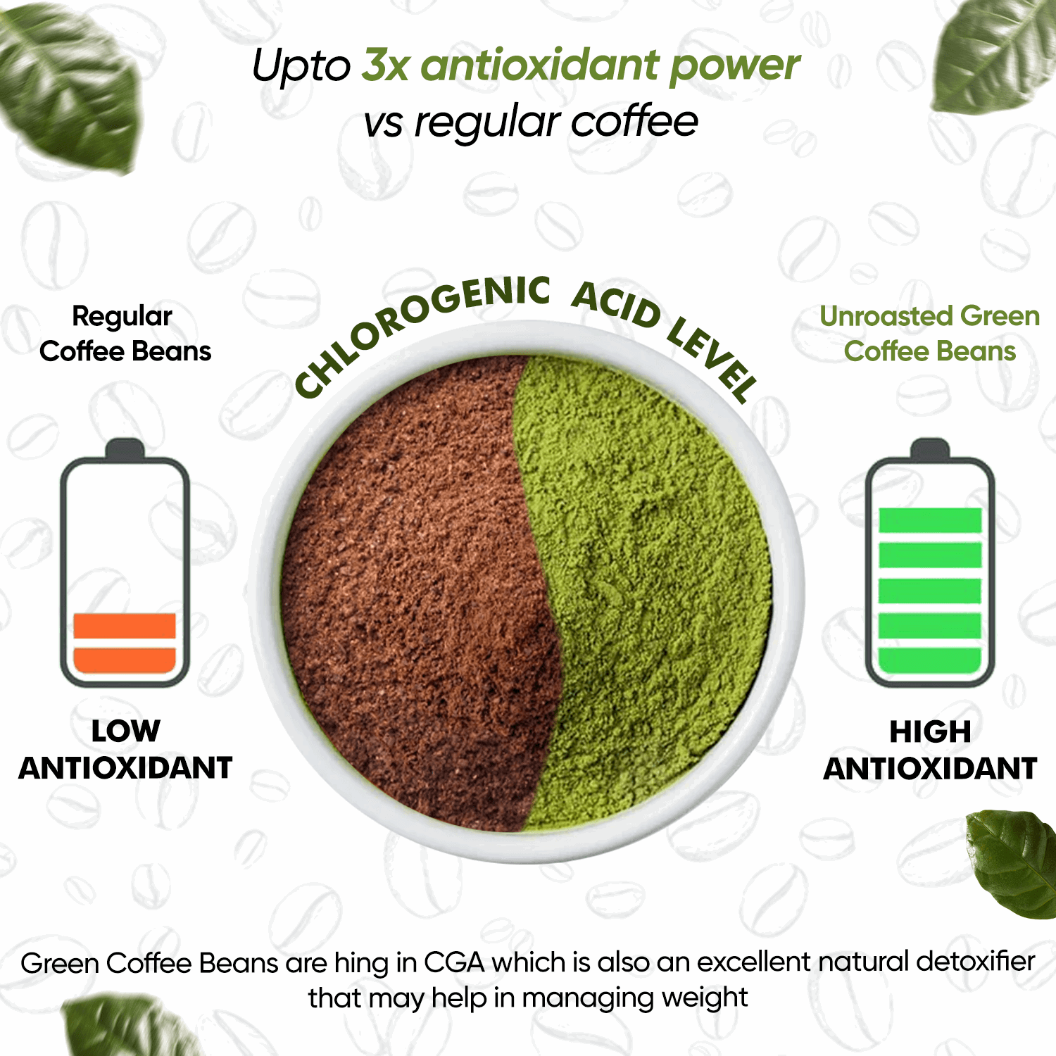 Herbal max Organic Green Coffee beans Powder for Natural Weight Management (100 g) - Herbalmax