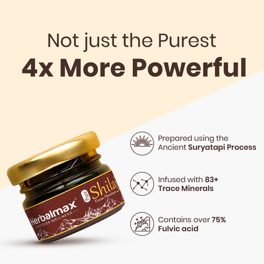 Pure Himalayan Shilajit Resin – 20 Gram