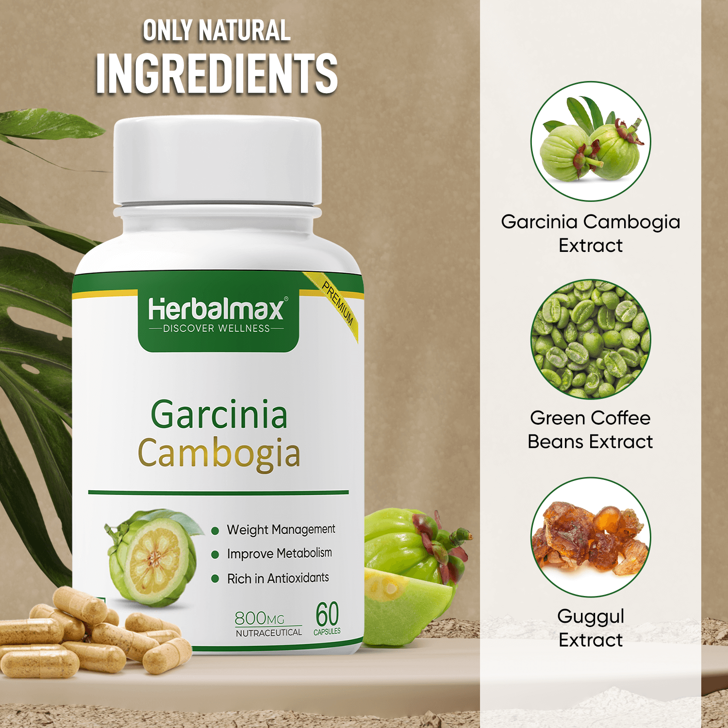Main Ingredients of Garcinia Cambogia