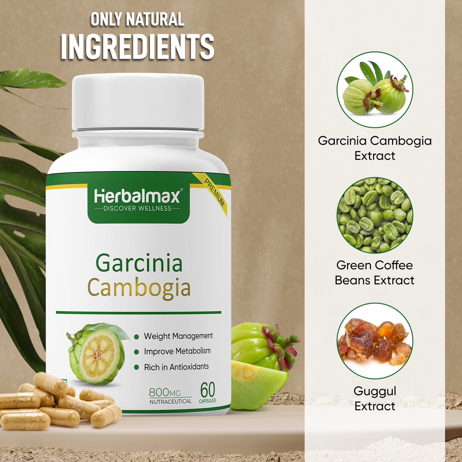 Ingredients of garcinia cambogia