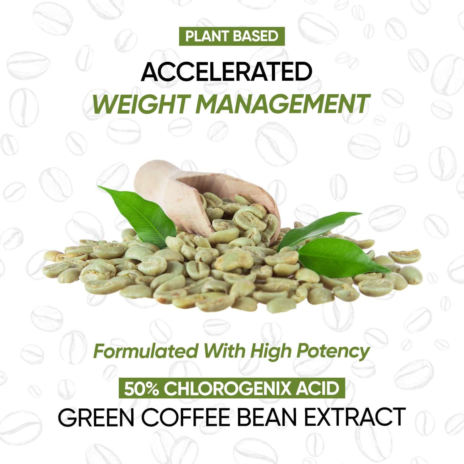 Plant Based green coffee beans