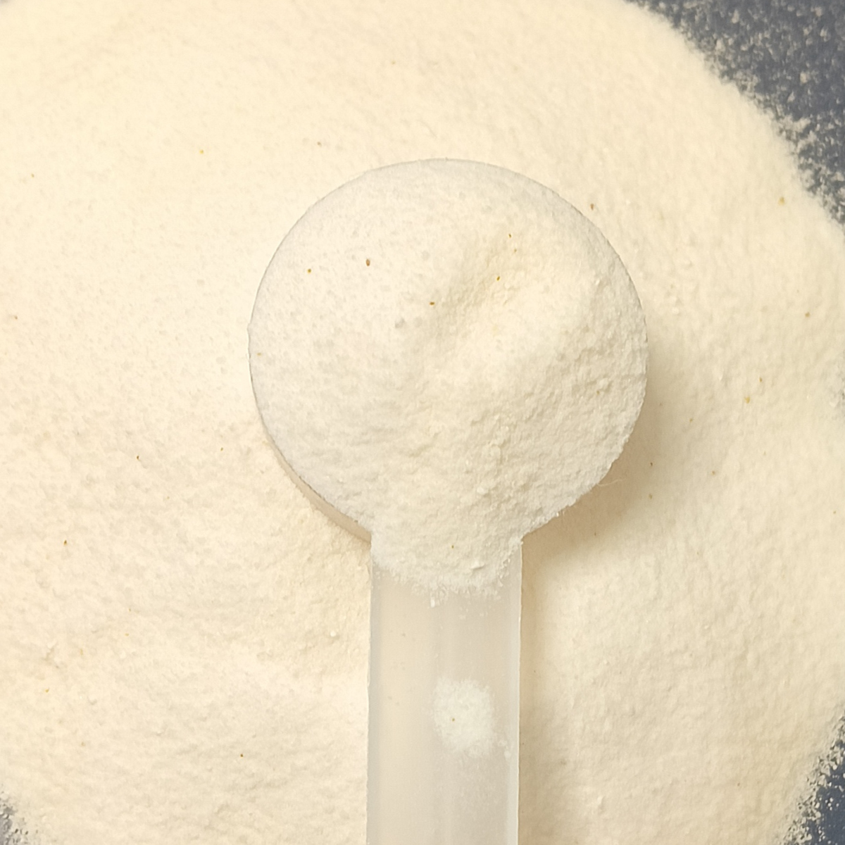 Hydrolyzed Marine Collagen (Type I & III)