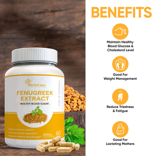 Herbalmax Fenugreek Seed (Methi Dana) Powder Capsules - 800mg | GMP and ISO Certified - Support Healthy Blood Sugar Level, Lactation, Digestion, Joint, Skin and Hair Health - 60 Vegan Capsules