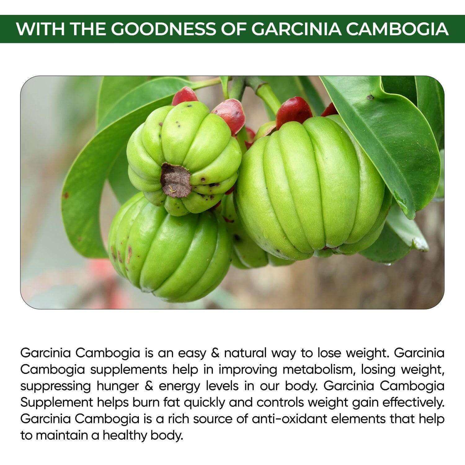 garcinia cambogia benefits